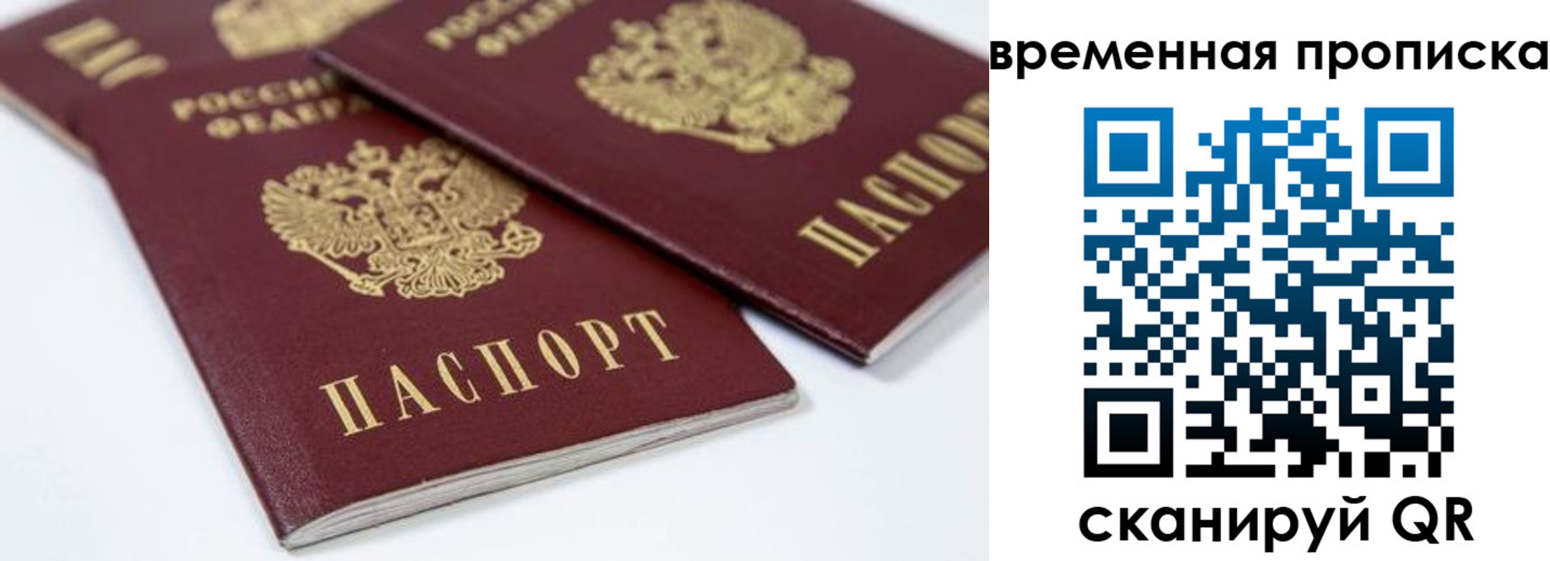 прописка для школы в Дорогобуже